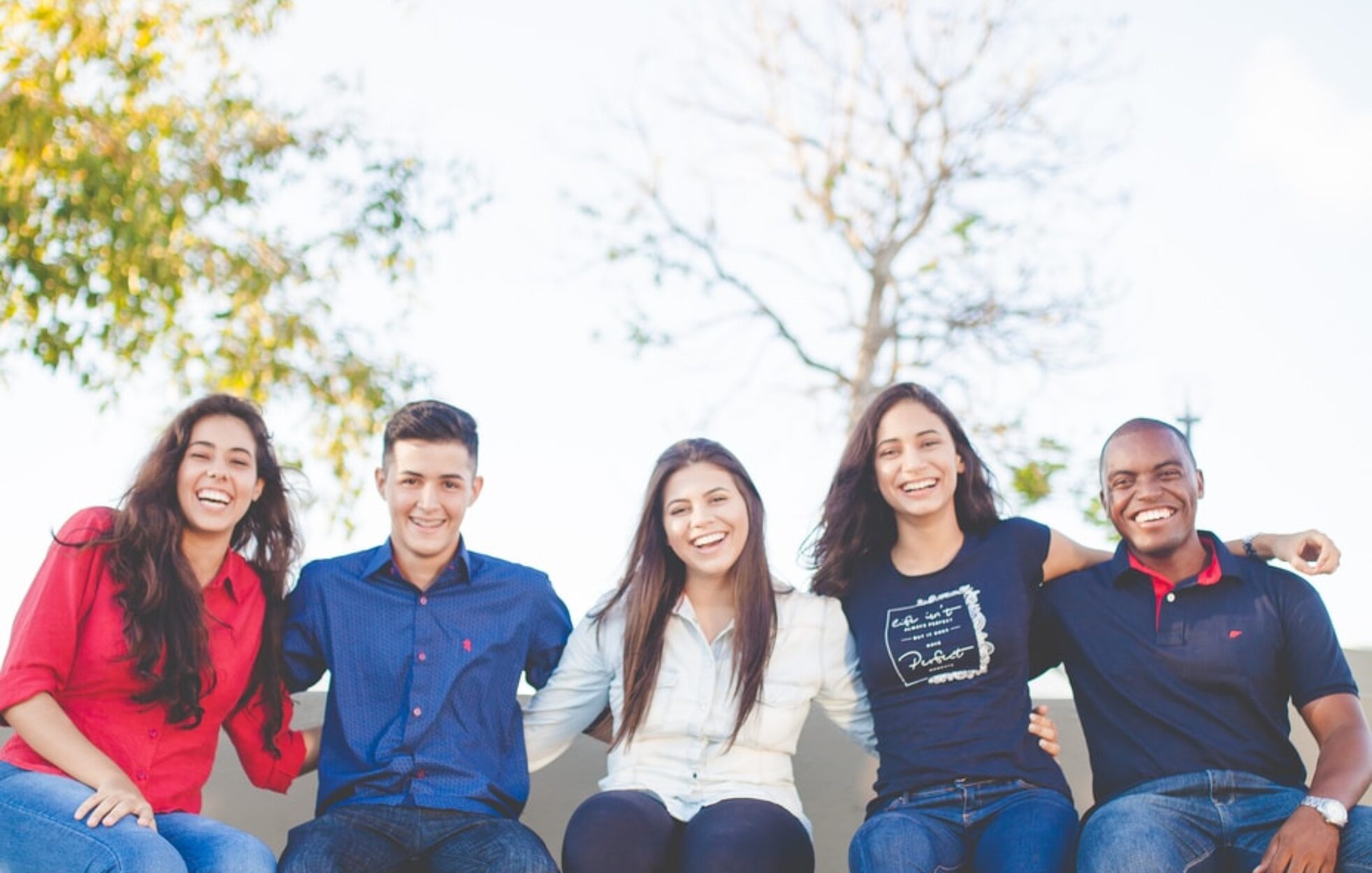 group of people sitting on bench near trees duting daytime